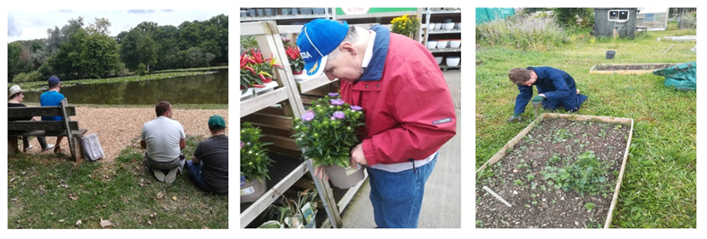 A collage of three pictures, four people overlooking water, a person picking out flowers, and a person tending to a garden patch