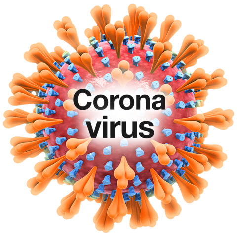 A close up of the coronavirus